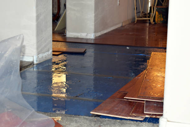 Professional Water Damage technician working in Reeseville, WI