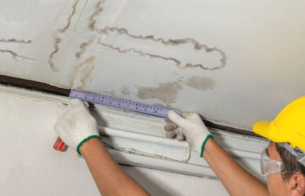 Reliable Water Damage contractor in Reeseville, WI by Water Damage Irwin
